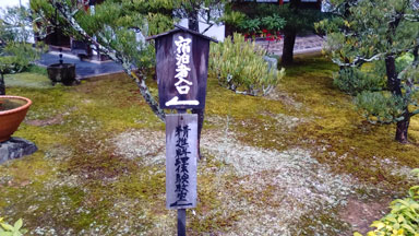 to-rin-in
